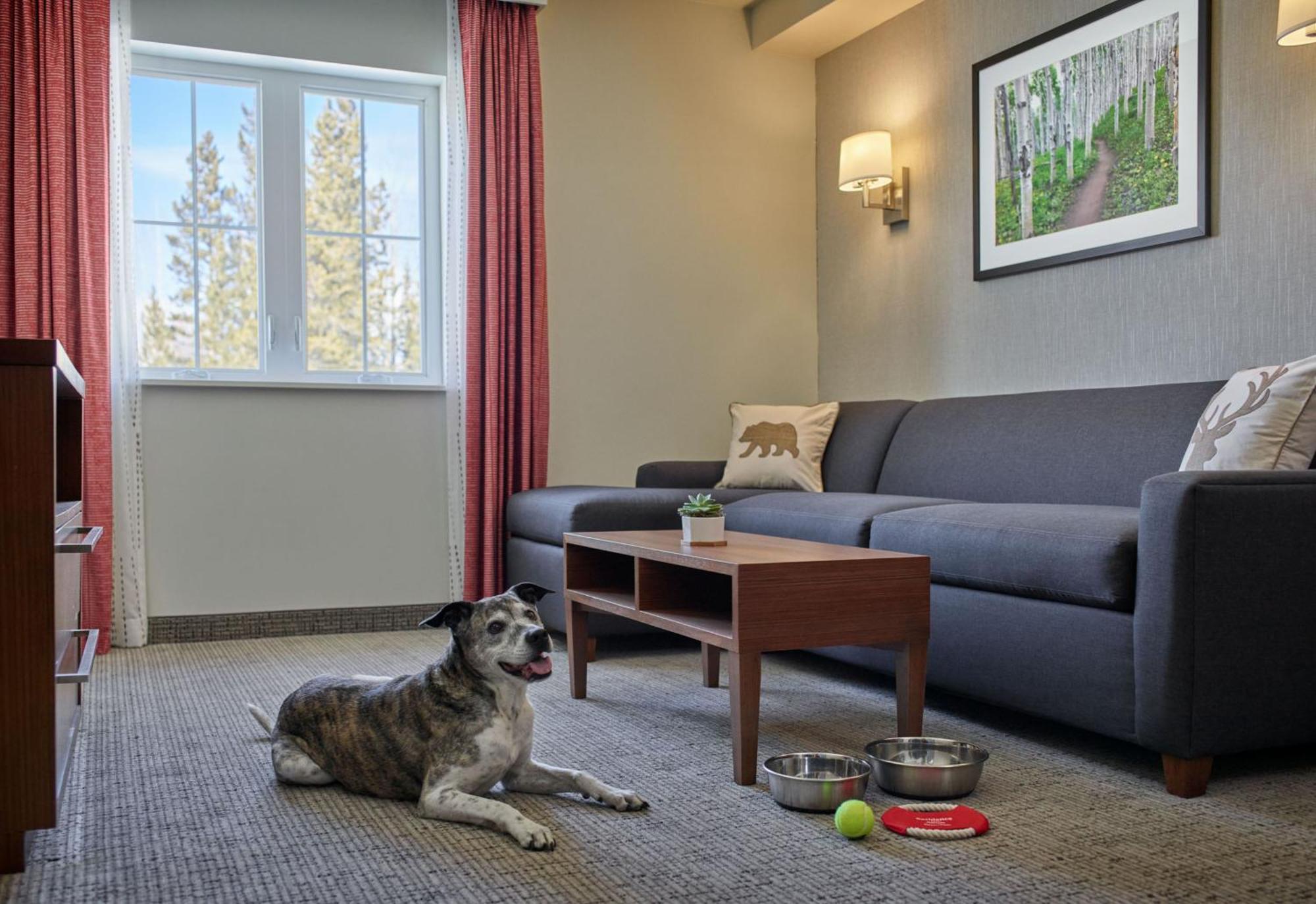 Residence Inn By Marriott Breckenridge Dış mekan fotoğraf